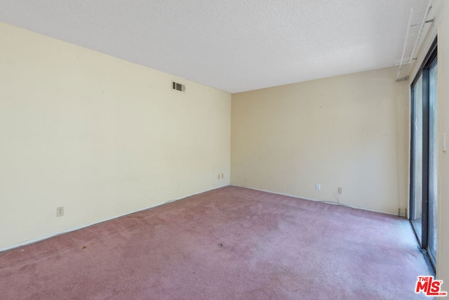 empty room featuring light carpet and a textured ceiling