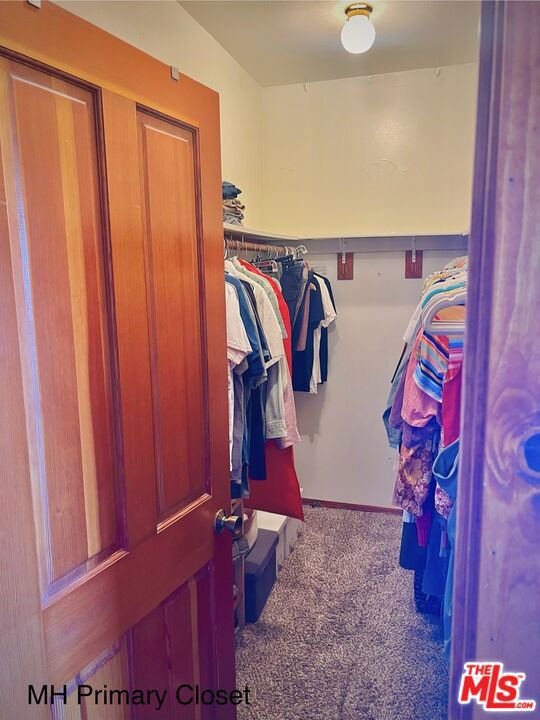 walk in closet featuring carpet