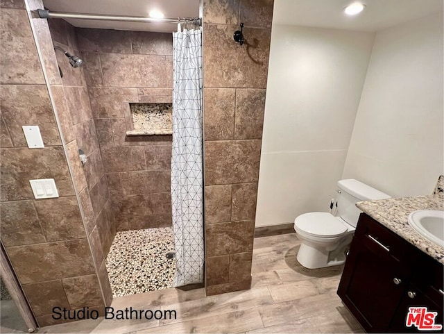 bathroom with vanity, a shower with curtain, and toilet