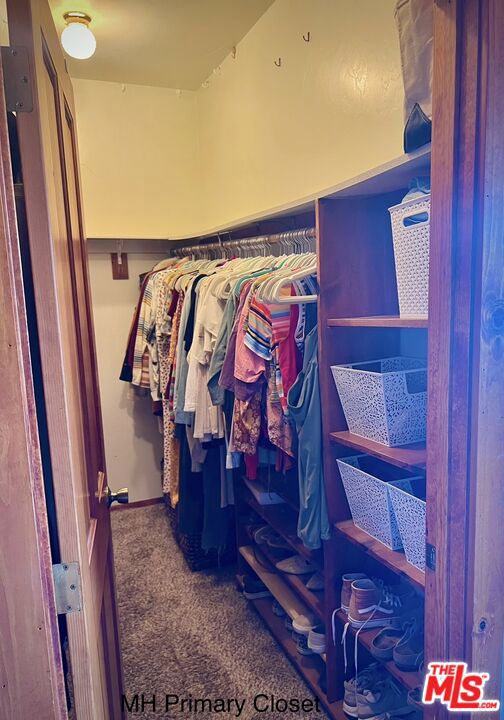 spacious closet featuring carpet floors