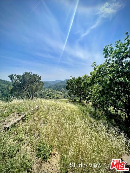 view of nature with a rural view and a mountain view