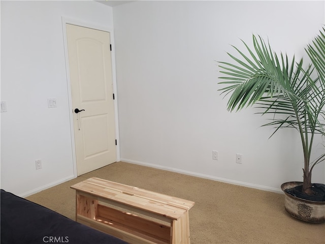 interior space featuring carpet floors