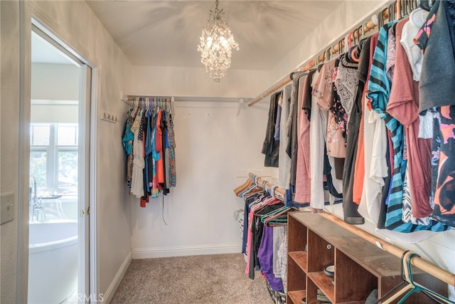 walk in closet with an inviting chandelier and carpet flooring