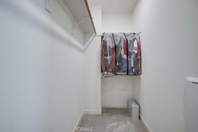 spacious closet with light carpet