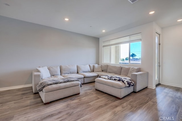 living room with wood-type flooring