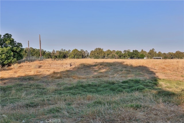 view of local wilderness featuring a rural view