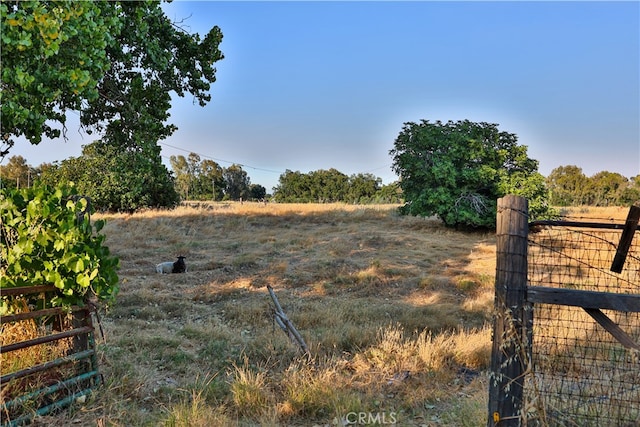 view of yard featuring a rural view