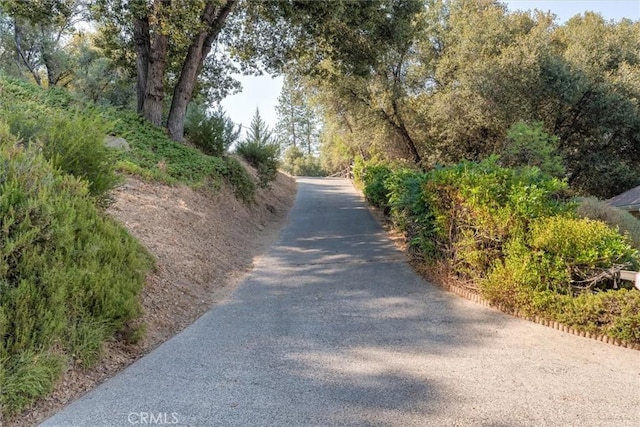 39309 Forest Park Ln, Oakhurst, CA 93644 - view of road
