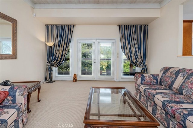 39309 Forest Park Ln, Oakhurst, CA 93644 - living room with carpet