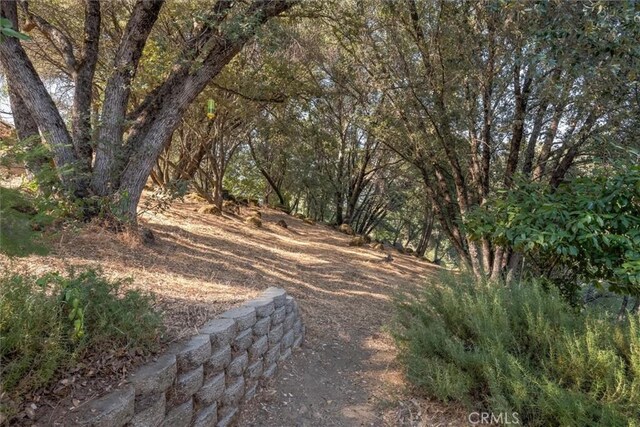 39309 Forest Park Ln, Oakhurst, CA 93644 - exterior space