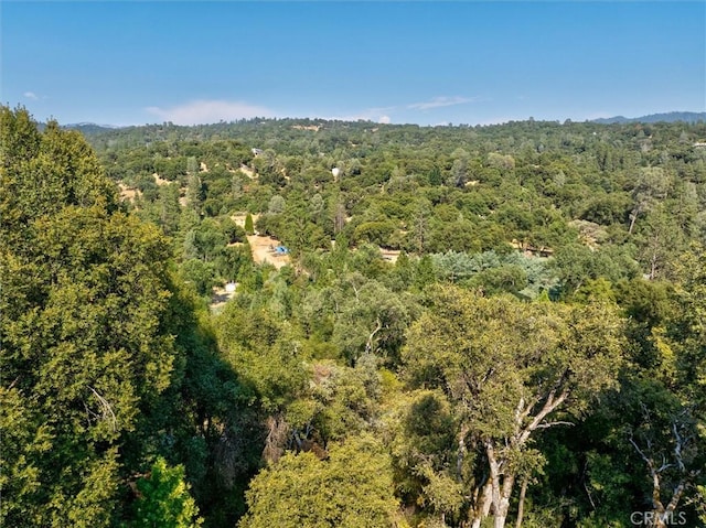 39309 Forest Park Ln, Oakhurst, CA 93644 - birds eye view of property with a wooded view