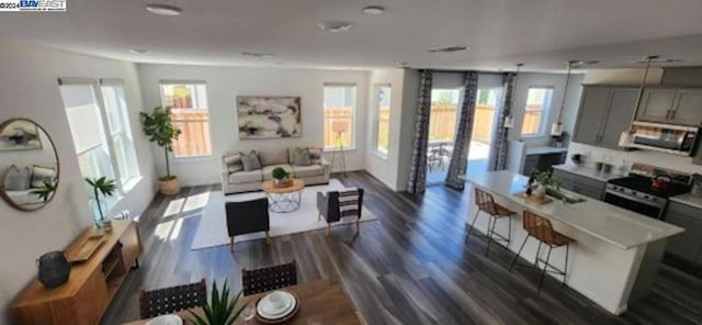 living room featuring dark wood-type flooring