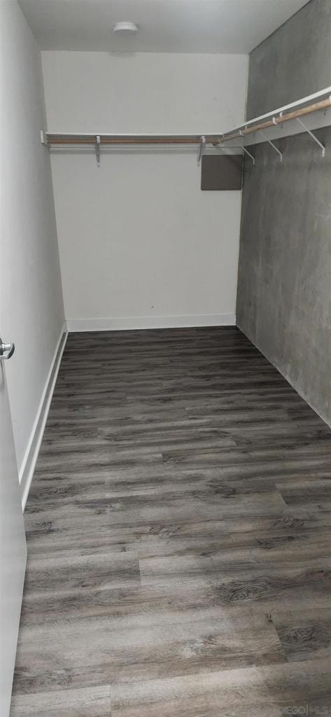 spacious closet with dark wood-type flooring