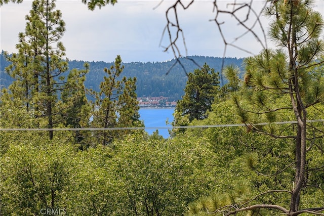 view of mountain feature featuring a water view