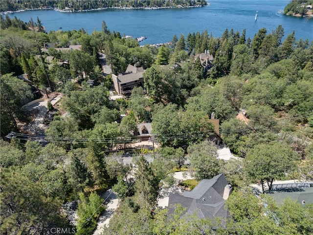 28966 N Shore Rd, Lake Arrowhead, CA 92352 - photo 24