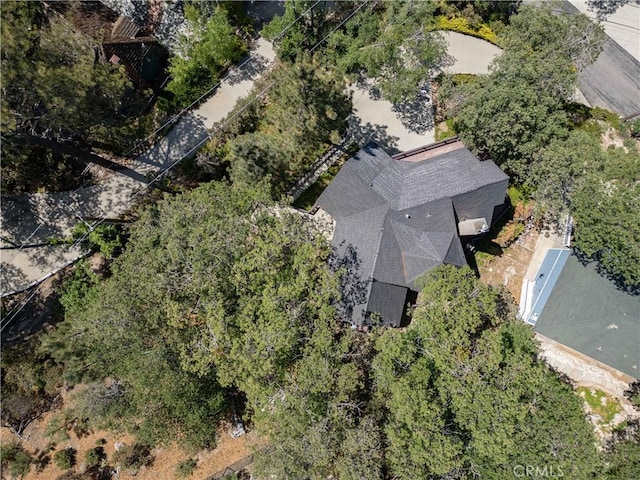 28966 N Shore Rd, Lake Arrowhead, CA 92352 - photo 25