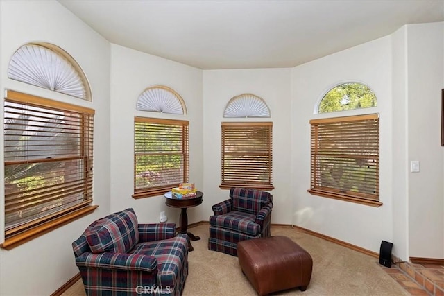 sitting room with plenty of natural light and light carpet