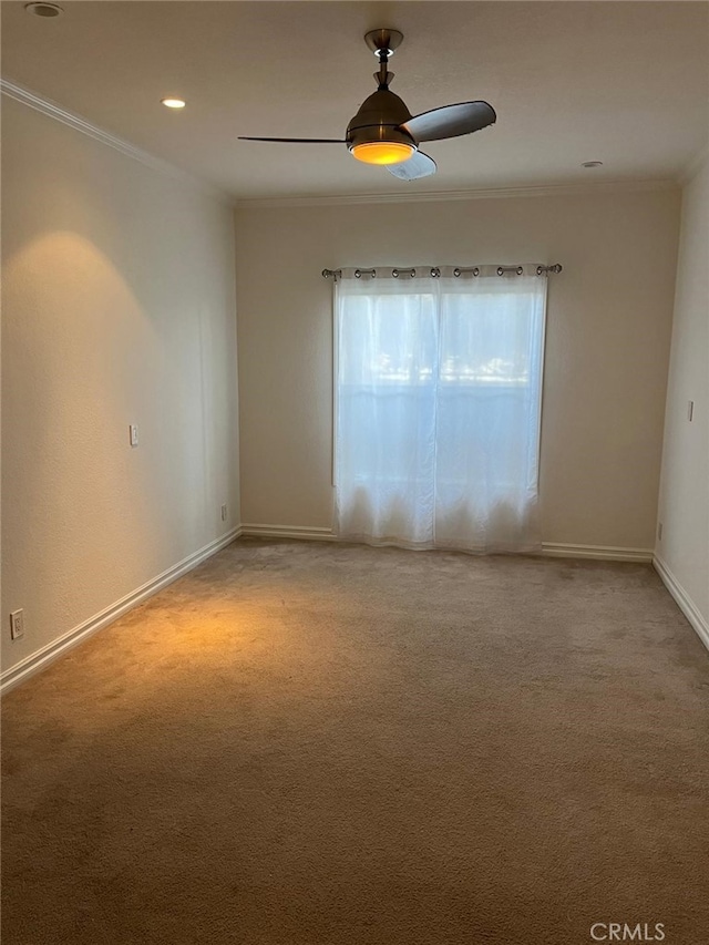 empty room with ceiling fan, ornamental molding, and carpet