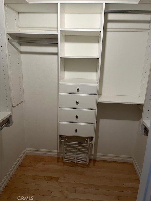 spacious closet with light wood-type flooring