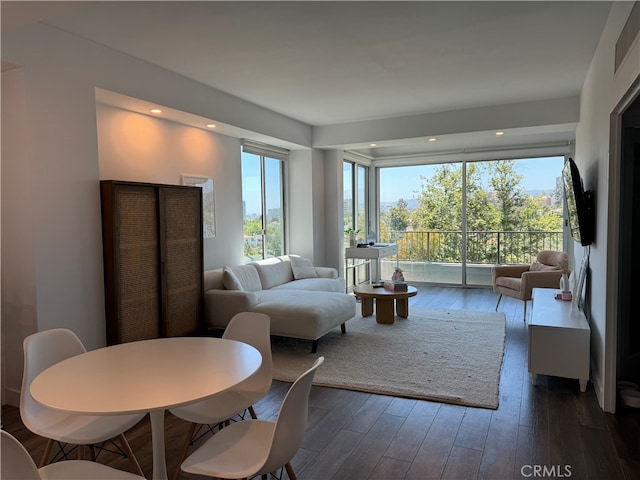 interior space with dark hardwood / wood-style floors