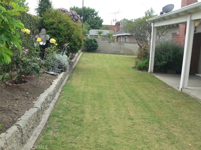 view of yard with a patio