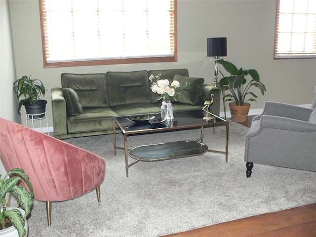 view of carpeted living room