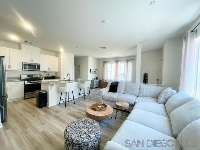 living room featuring light hardwood / wood-style flooring and sink