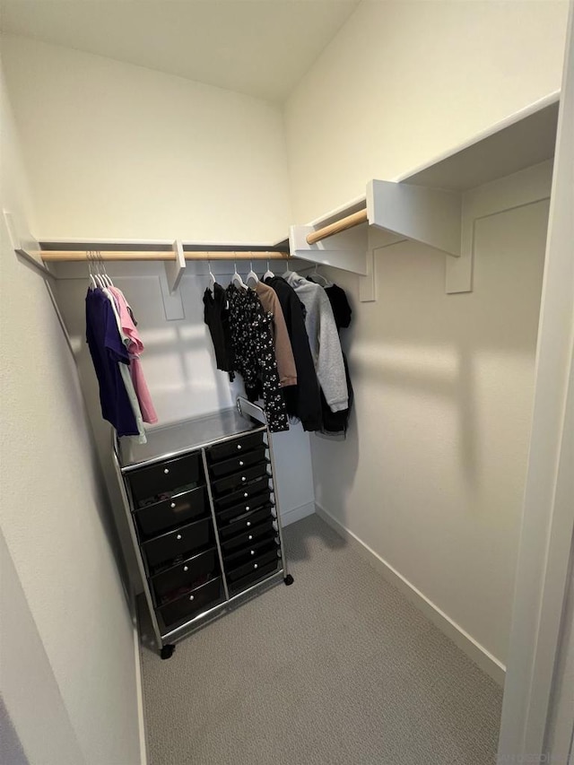 walk in closet with carpet