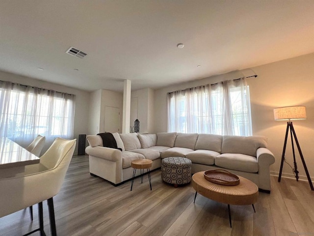 living room featuring a healthy amount of sunlight and wood-type flooring