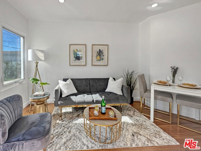 living room featuring dark hardwood / wood-style floors