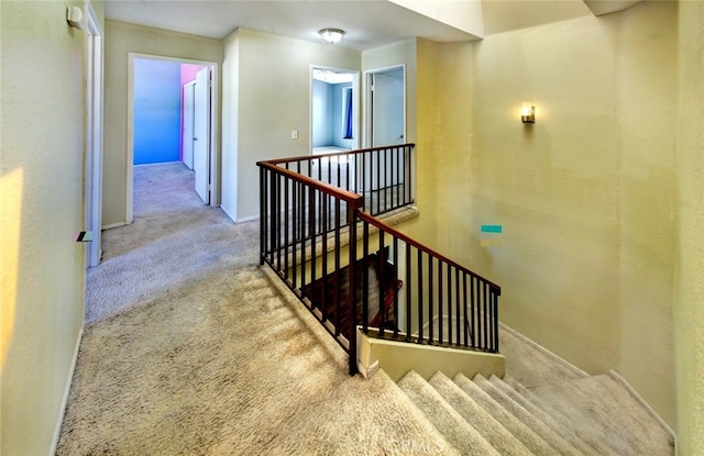 stairway with carpet floors