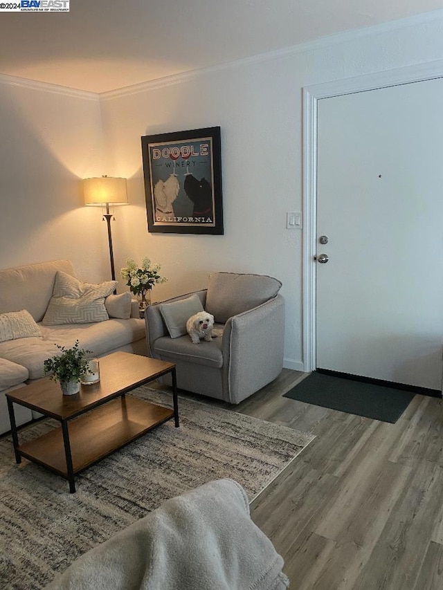 living room with ornamental molding and hardwood / wood-style floors