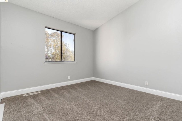 empty room featuring a textured ceiling and carpet floors