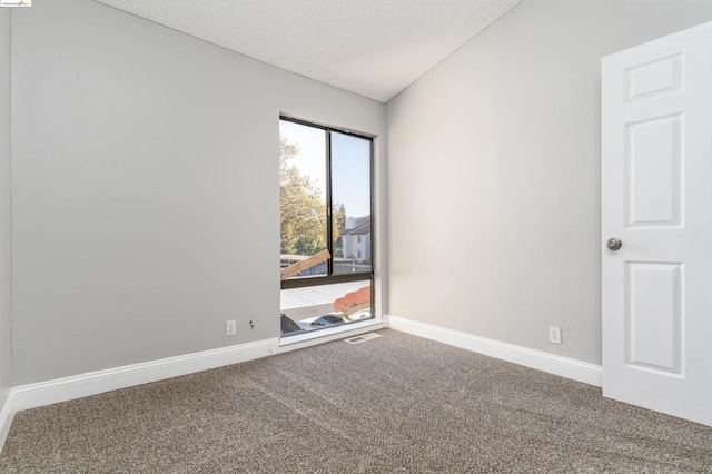 carpeted empty room featuring lofted ceiling and a textured ceiling