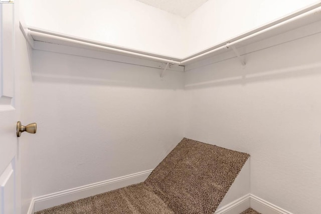 walk in closet with carpet flooring