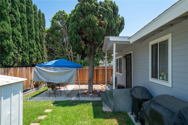 view of yard with a patio