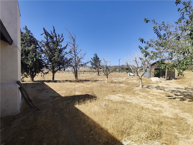 view of yard featuring a rural view