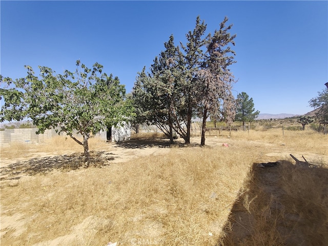 view of yard with a rural view