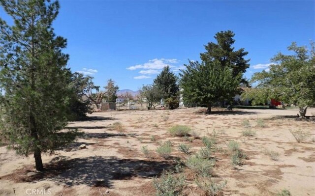 8043 Mojave Tropico Rd, Mojave, CA 93501 - view of yard with a rural view and a mountain view