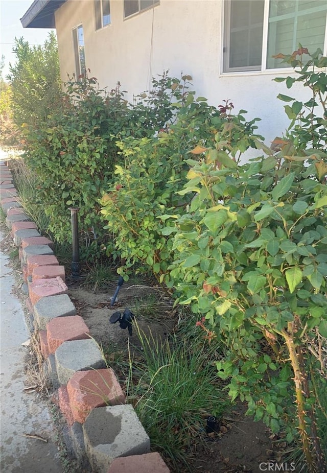 8043 Mojave Tropico Rd, Mojave, CA 93501 - view of yard