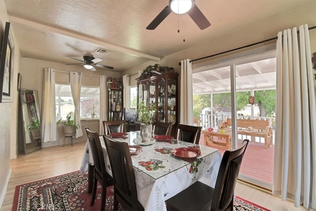 dining room featuring ceiling fan, a textured ceiling, and light hardwood / wood-style floors