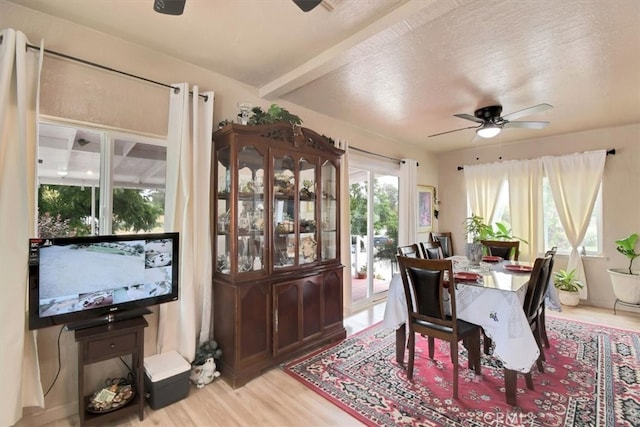 dining space featuring a textured ceiling, light wood-type flooring, and ceiling fan