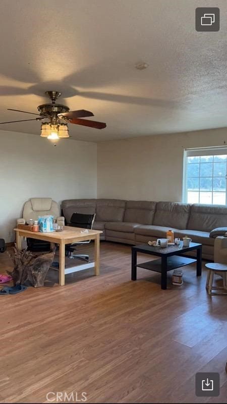 living room with ceiling fan, hardwood / wood-style flooring, and a textured ceiling