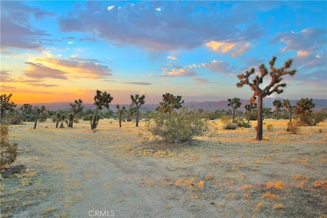 0 Forrest Dr, Yucca Valley, CA 92284