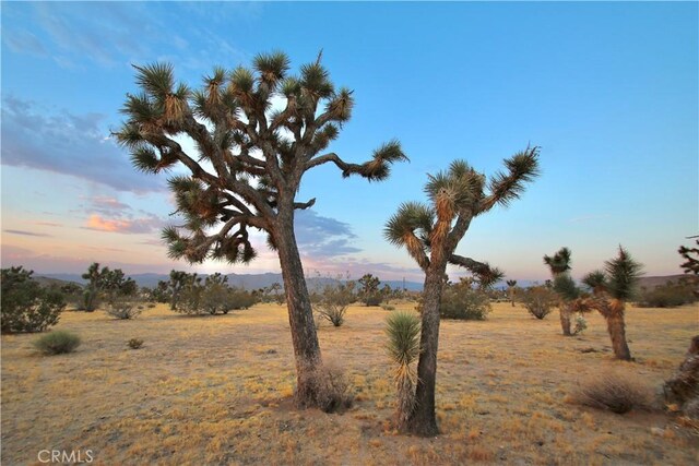 0 Forrest Dr, Yucca Valley, CA 92284