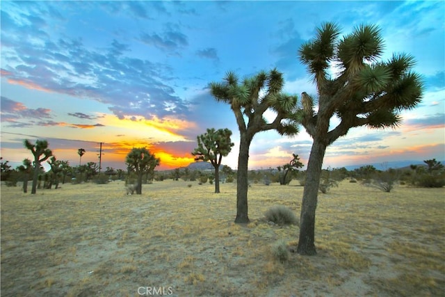 0 Forrest Dr, Yucca Valley, CA 92284