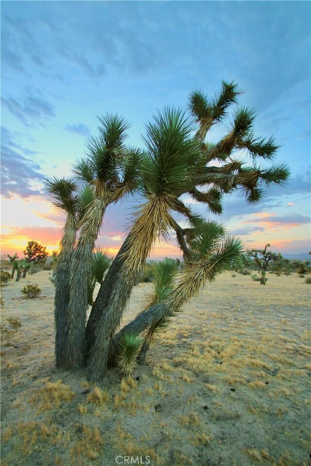 0 Forrest Dr, Yucca Valley, CA 92284