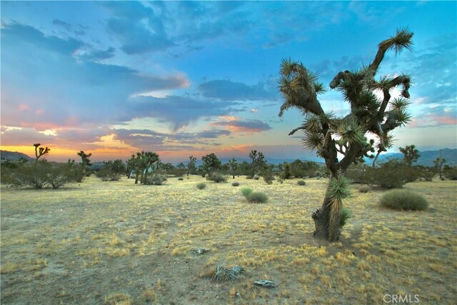 0 Forrest Dr, Yucca Valley, CA 92284