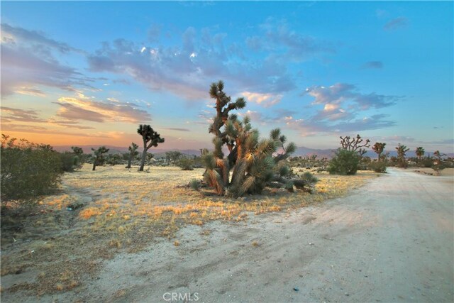 0 Forrest Dr, Yucca Valley, CA 92284