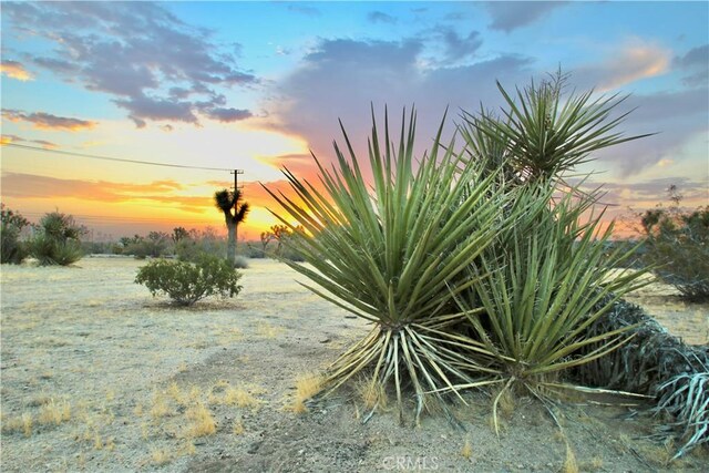 0 Forrest Dr, Yucca Valley, CA 92284